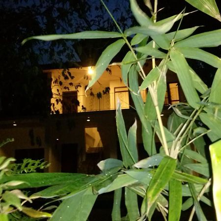 Green Earth Resort And Restaurant Dambulla Exterior photo