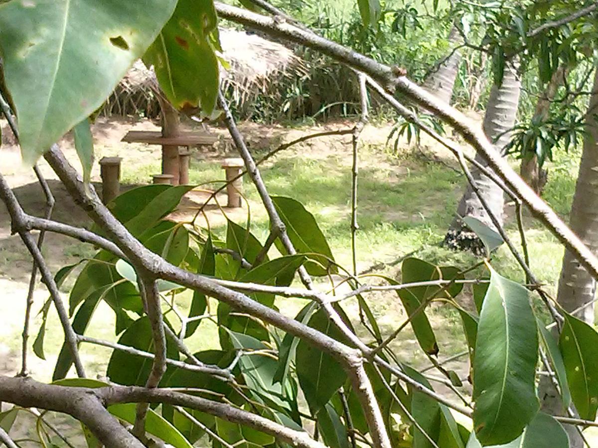 Green Earth Resort And Restaurant Dambulla Exterior photo