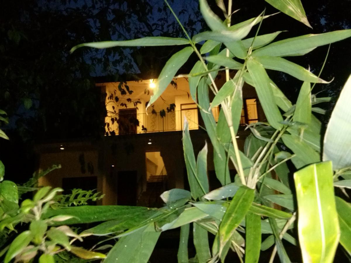Green Earth Resort And Restaurant Dambulla Exterior photo